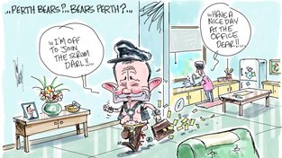 Perth Bears — the WA capital city named first, carnivorous mammal second — is earmarked as the brand name for the revitalised North Sydney Bears ... not to be mistaken for Bears Perth.